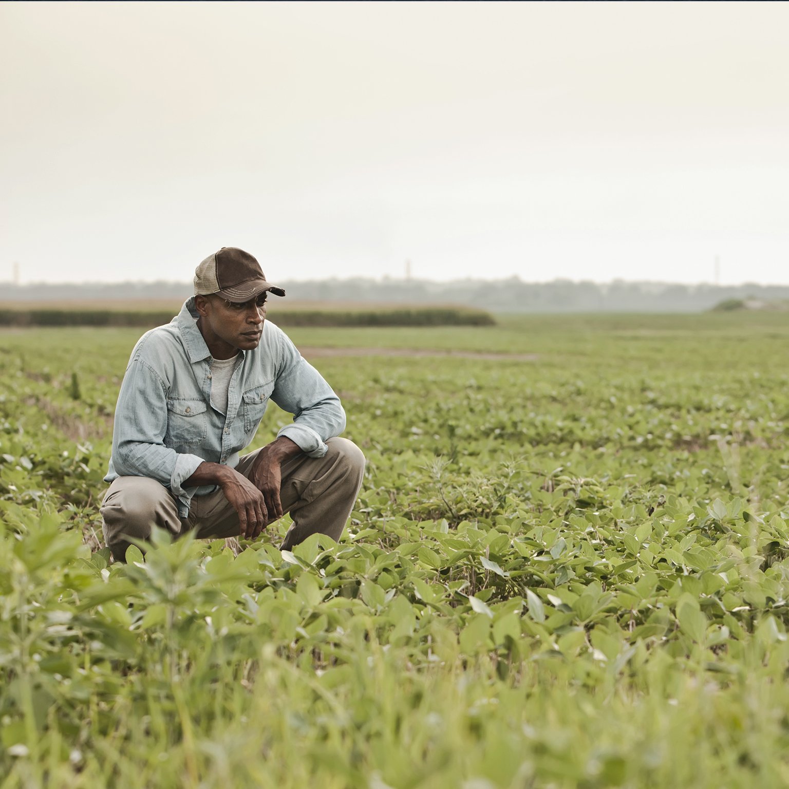 Black farmers in the US The opportunity for addressing racial